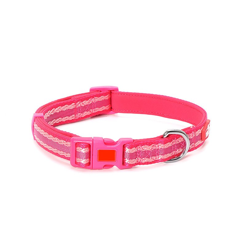 Dog Collars