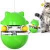 Cat Toy