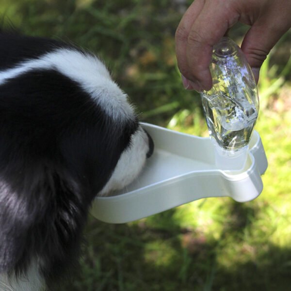 O1CN01qOGu4U2KpbaXavnnq_!!3326319606-0-cib Chicken Drumstick Pet Travel Cup