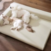 Simple Plain Leather L - shaped Sofa Pet Bed