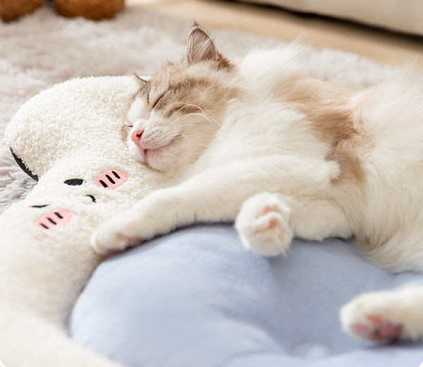 Fleece Blanket