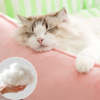 High - back Color - blocking Striped Square Pet Bed