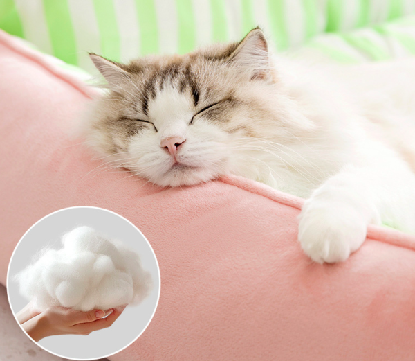High - back Color - blocking Striped Square Pet Bed
