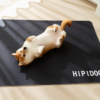 Solid - color Rounded - corner Sleeping Mat