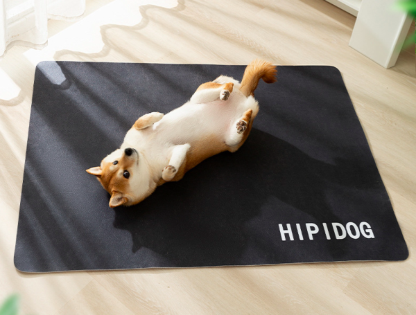 Solid - color Rounded - corner Sleeping Mat