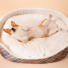 Cute Animal - shaped Irregular Enclosure Pet Bed