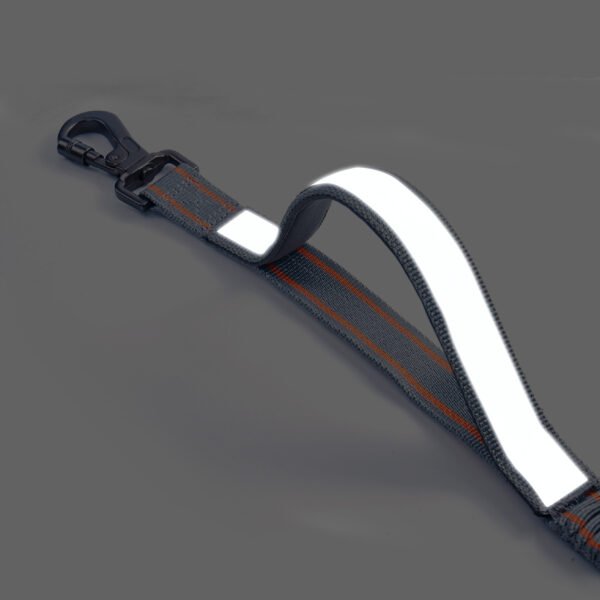 O1CN01EQUwND2JHsd8toVO5_!!2214782749397-0-cib Pet leash #H123