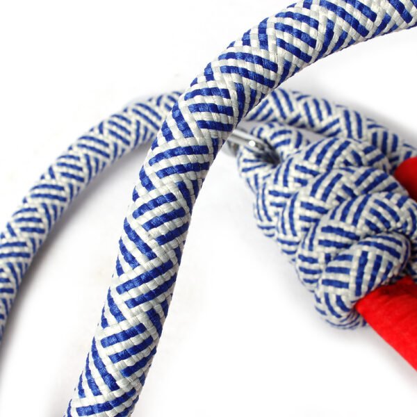 O1CN01TyQZu32JHseBgCnCO_!!2214782749397-0-cib Pet leash #1878