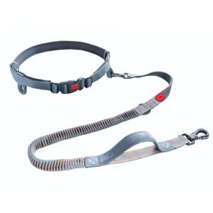 Pet leash #H123