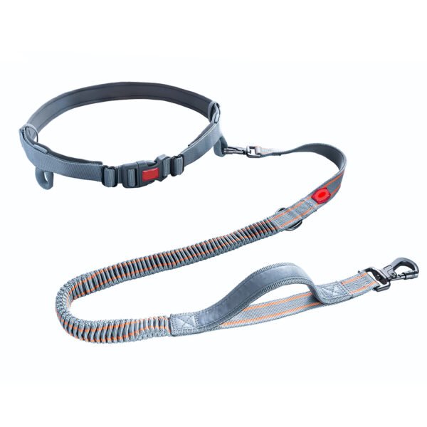 O1CN01UzQhaM2JHsdJbFA2P_!!2214782749397-0-cib Pet leash #H123