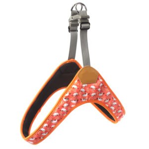 Pet leash #2128