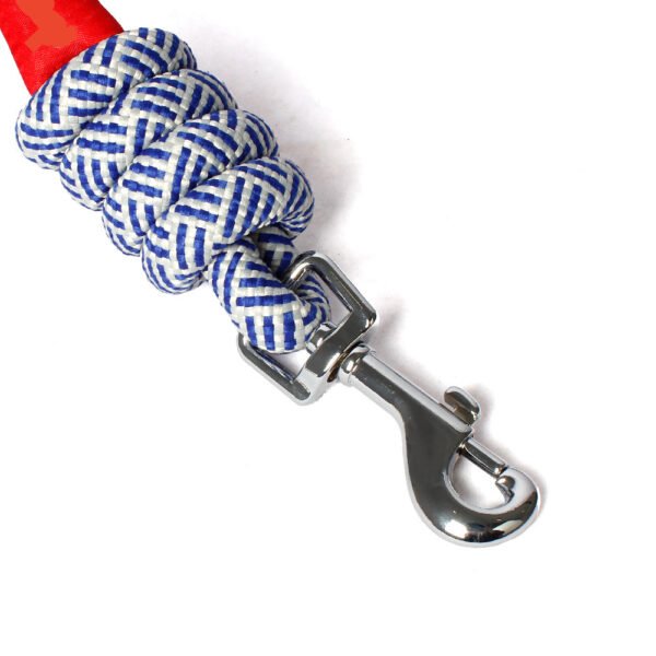 O1CN01jOOMq22JHseK5n81N_!!2214782749397-0-cib Pet leash #1878