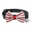Pet Collar #1502