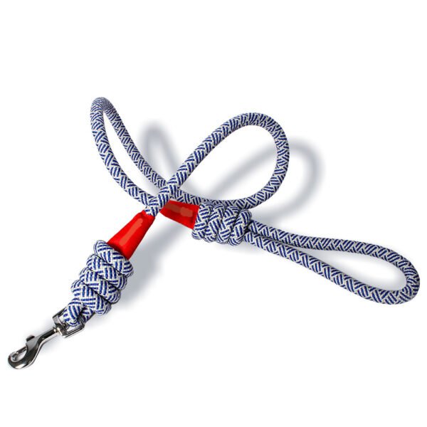 O1CN01yME9zb2JHseIOXeqi_!!2214782749397-0-cib Pet leash #1878
