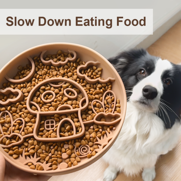 11 Mushroom House Slow Food Bowls