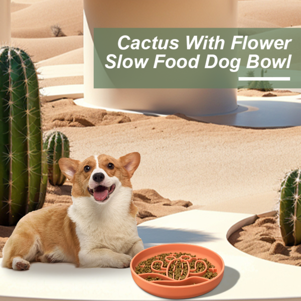 13 Cactus slow food bowl