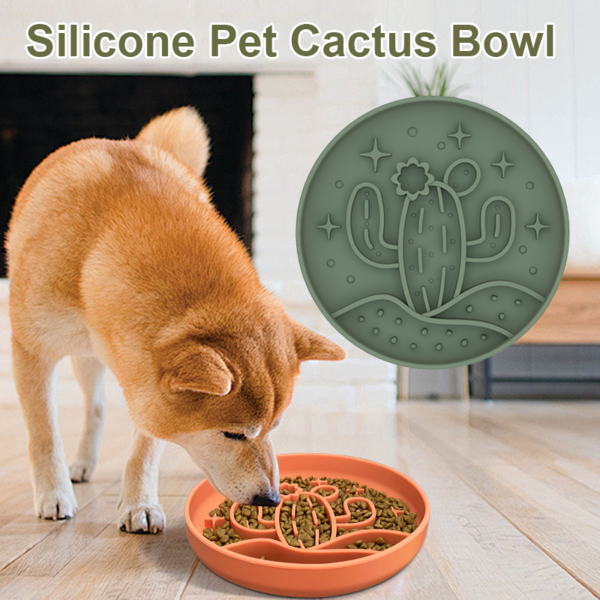 14 Cactus slow food bowl