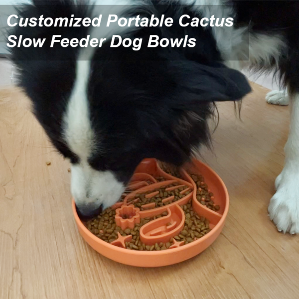 15 Cactus slow food bowl