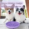 Grape Slow Food Bowl