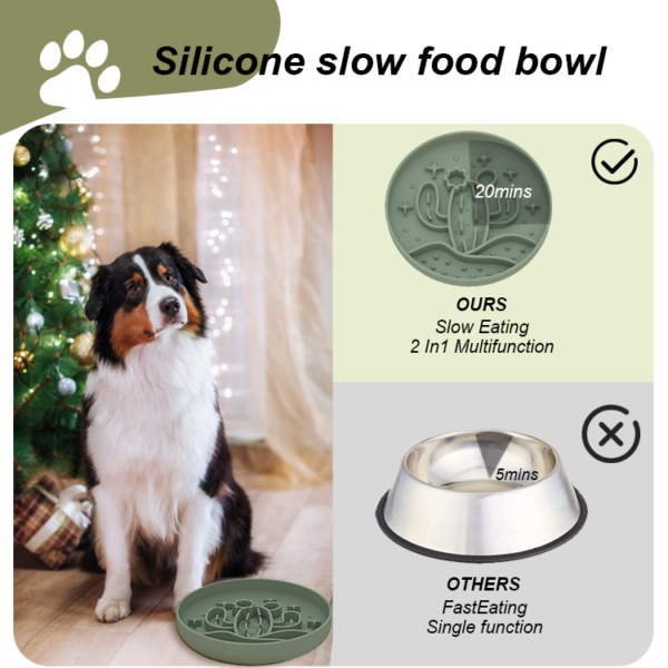 4 Cactus slow food bowl