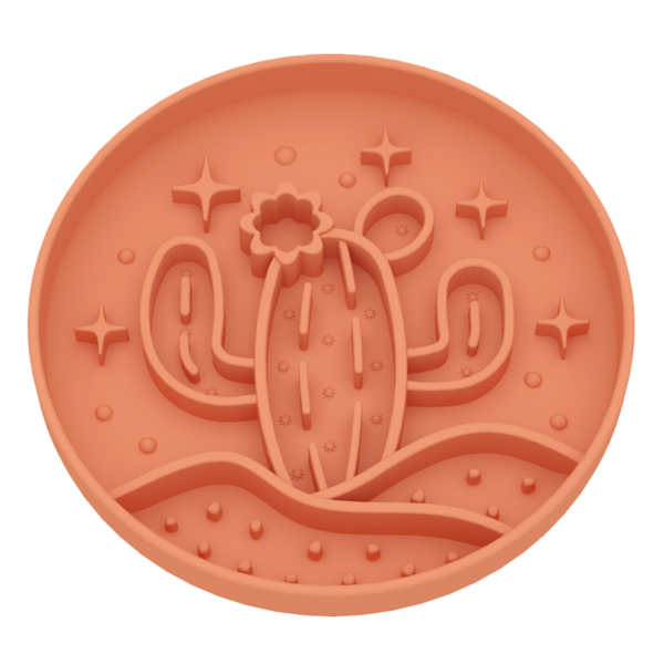 7 Cactus slow food bowl