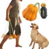 Outdoor Touring Pumpkin Pet Toy