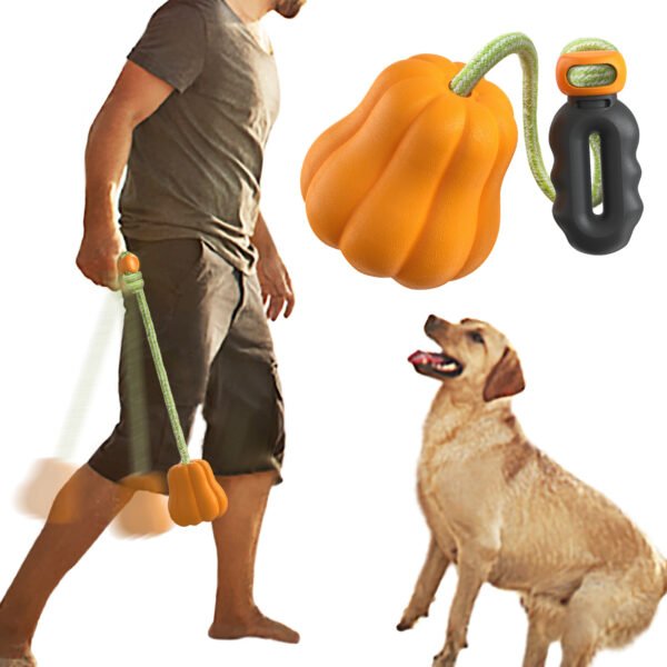Outdoor Touring Pumpkin Pet Toy