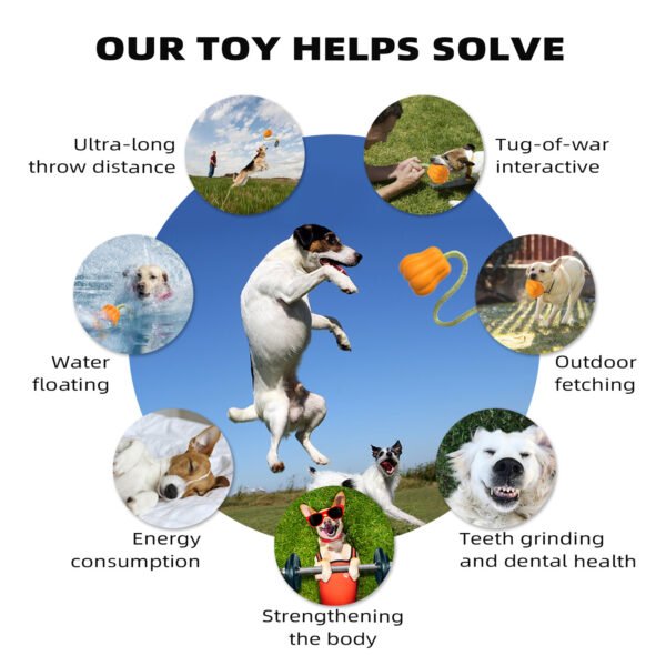 Outdoor Touring Pumpkin Pet Toy