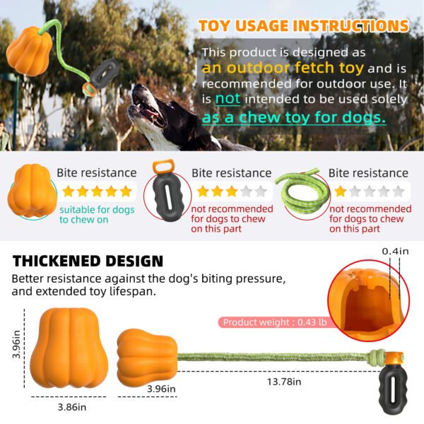 Outdoor Touring Pumpkin Pet Toy