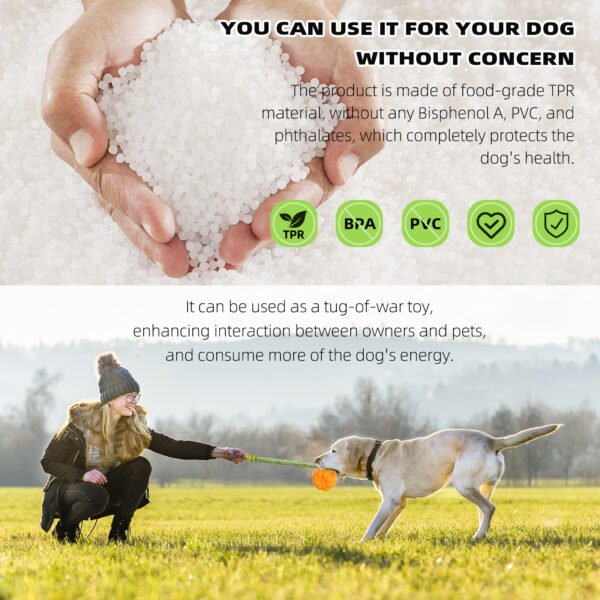 Outdoor Touring Pumpkin Pet Toy
