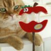 Apple bell cat teaser
