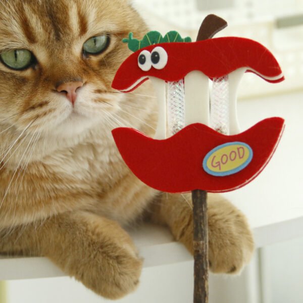 O1CN01xozmB51wfwWHO46w5_!!3856826336-0-cib Apple bell cat teaser