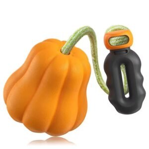 Outdoor Touring Pumpkin Pet Toy