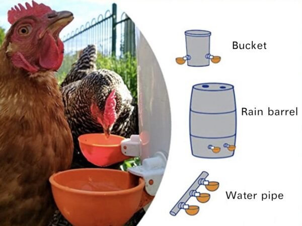 Chicken, duck and pigeon drinking bowl