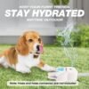 Dog Foot Fountain