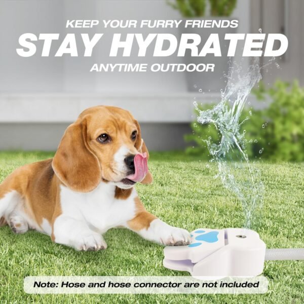 Dog Foot Fountain