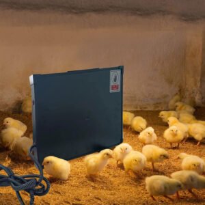 Chicken house heater