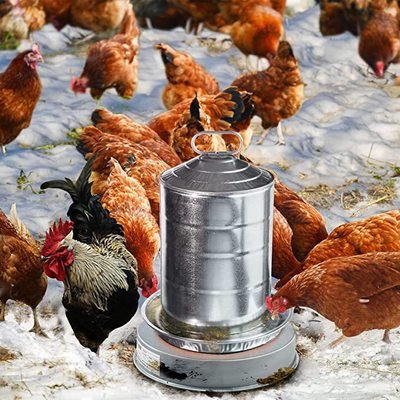 O1CN01IiEebx1QNYaP5SzM5_!!2206352021964-0-cib Heating base poultry waterer