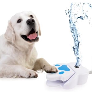 Dog Foot Fountain