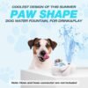 Dog Foot Fountain