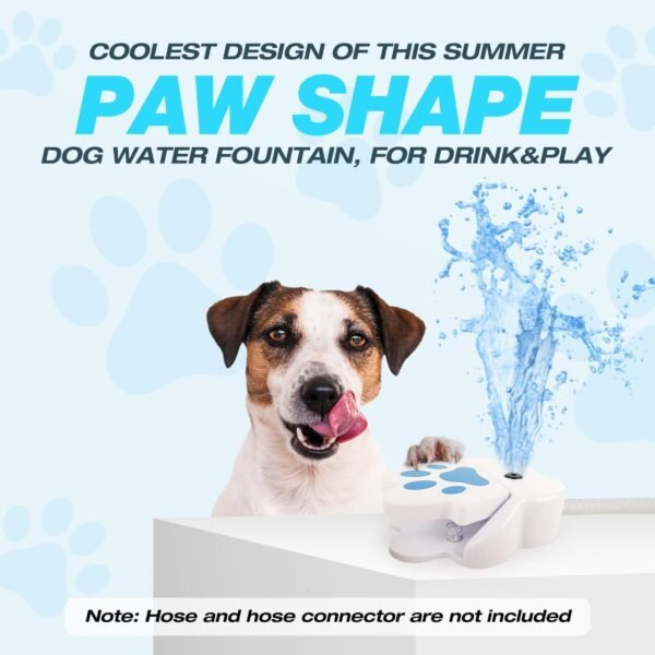 Dog Foot Fountain