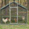 Family chicken coop chicken shed