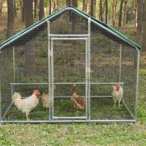 Family chicken coop chicken shed