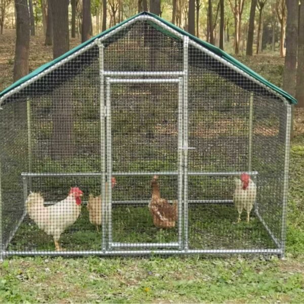 Family chicken coop chicken shed