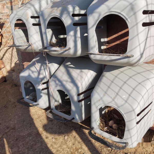 Household rainproof egg laying box