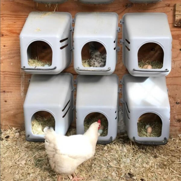 Household rainproof egg laying box