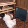 Chicken house heater