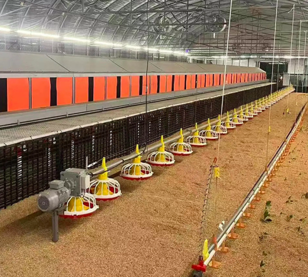 Gravity Poultry Feeders