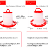 One-piece chicken feed bucket
