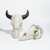 Reptile Habitat Decoration-Cow and Sheep Skulls